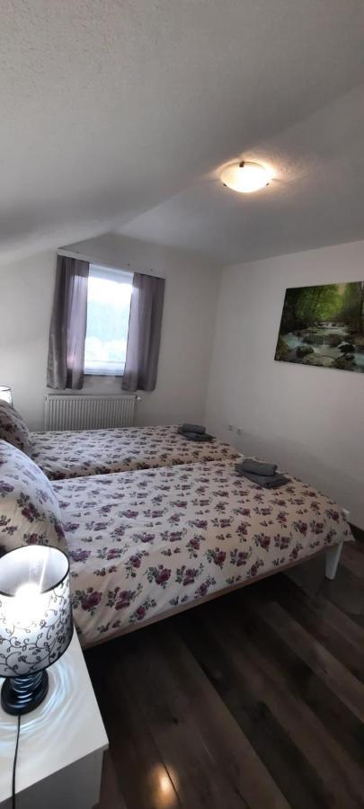 Apartman Karolina Rudanovac Exterior foto